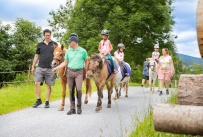 Ponywanderung